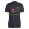 Original Fußballtrikot FC Bayern München Ausweichtrikot 2022-23 Für Herren